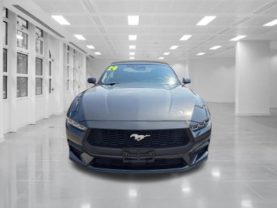 2024 Ford Mustang EcoBoost Convertible